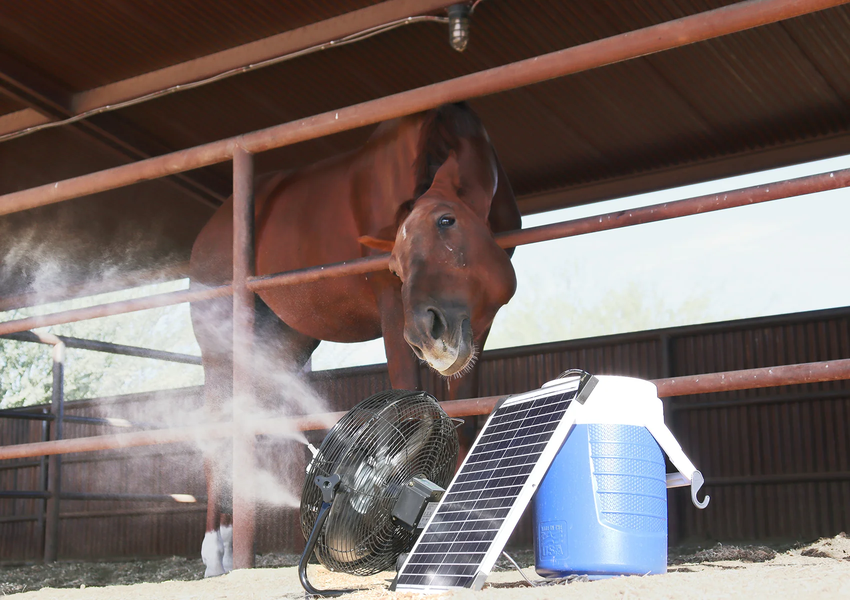 Phoenix AZ Pet Cooling Solutions for Business, Parks and Events​